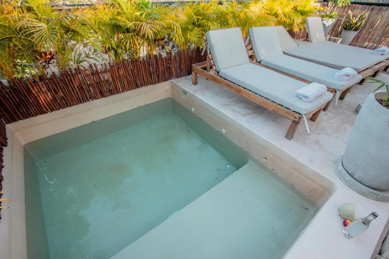 Ph-4-Groups 3Br Priv-Rooftop 18Pax @Aldea Zama Τουλούμ 0*,